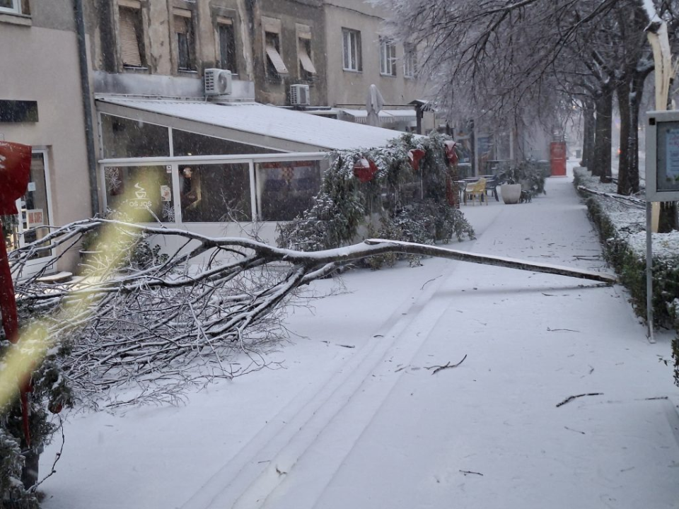 Scene iz zaleđenog Knina: Stablo u Ujevićevoj ulici iščupano iz korijena, električni vodovi prekinuti