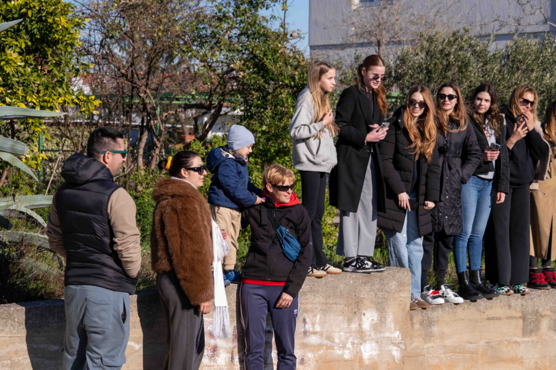 Vodička pokladna tradicija: 3 velika praščića pobjednici trke karića na balinjere