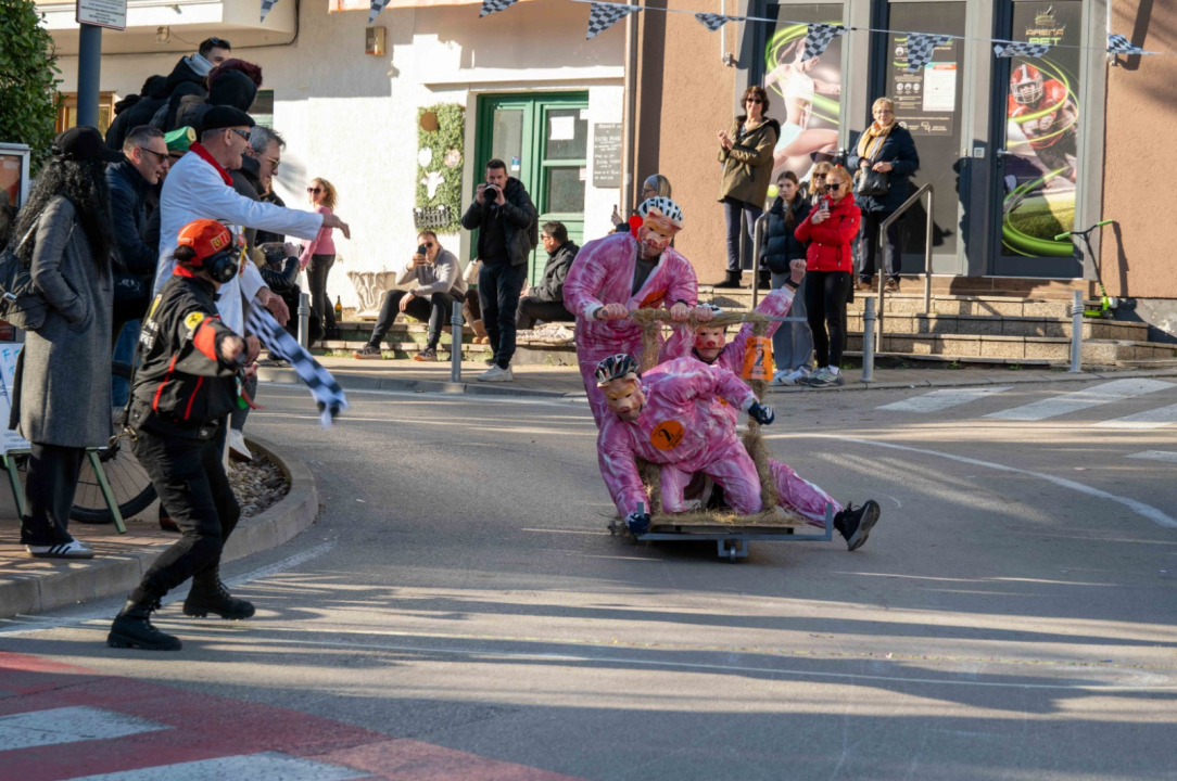Vodička pokladna tradicija: 3 velika praščića pobjednici trke karića na balinjere