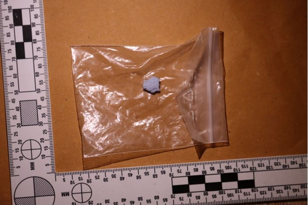 Policija u zagrebačkom stanu našla narko-laboratorij, hrpu droge i - kuburu!