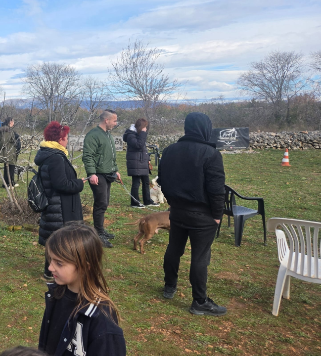 Održano 3. izdanje natjecanja 'Ghetto Dog' u Pokrovniku