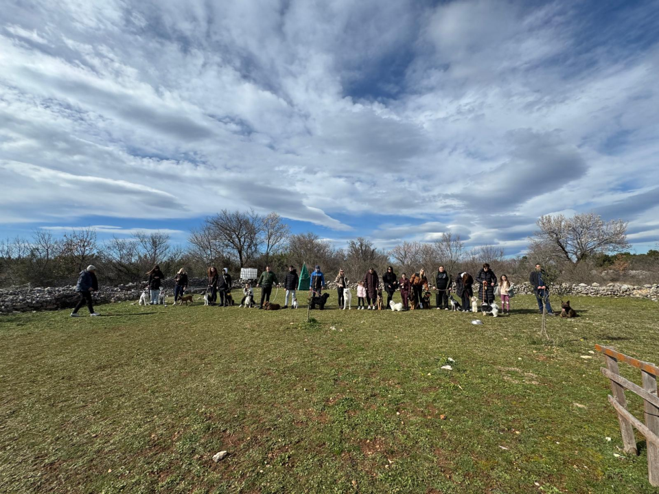 Održano 3. izdanje natjecanja 'Ghetto Dog' u Pokrovniku