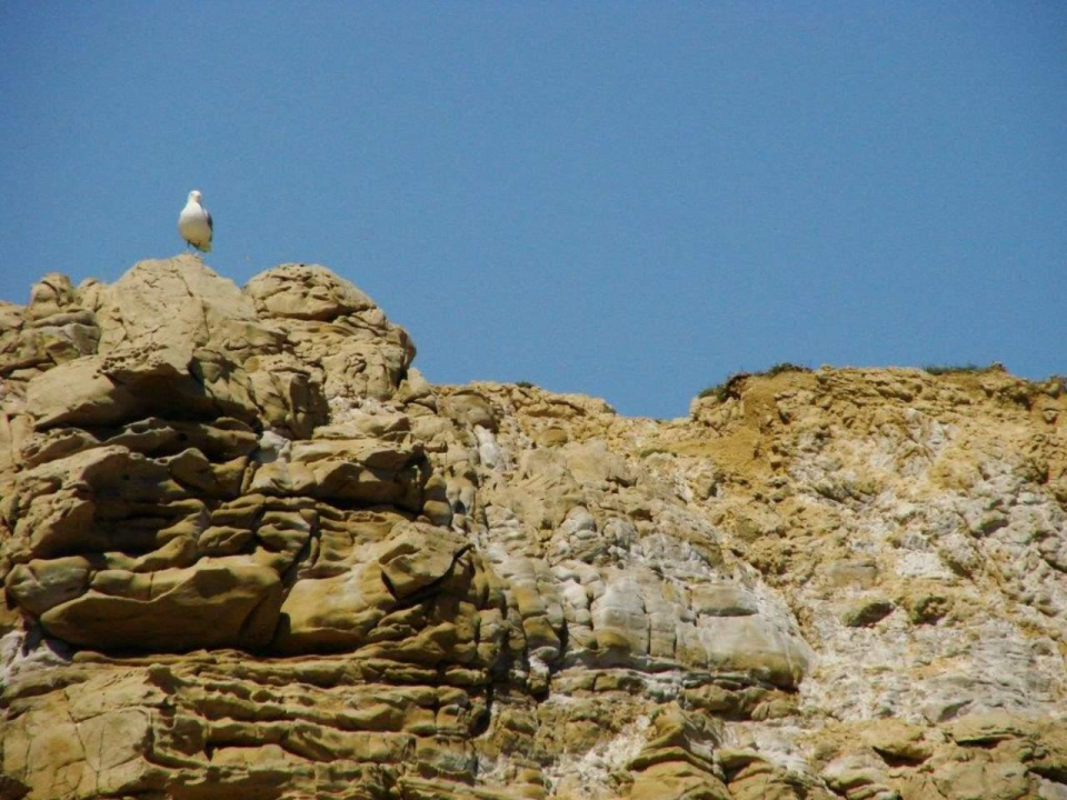 Velika obljetnica u Šibeniku: HPD Kamenar slavi 100 godina djelovanja