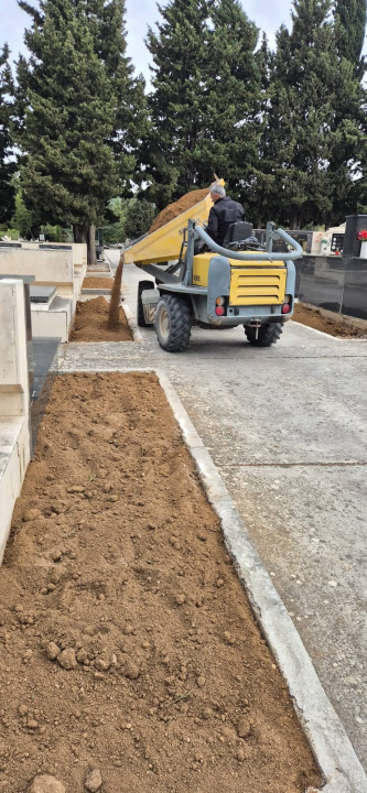 Čempresi završili velik posao: Zasađeno 150 stabala, uklonjeno staro bilje i zamijenjena zemlja