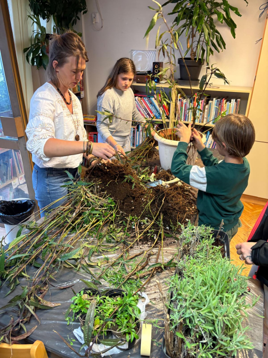 Pripremljeno 70 sadnica lavandule i ruellije za eko-akciju u Zatonu i Raslini