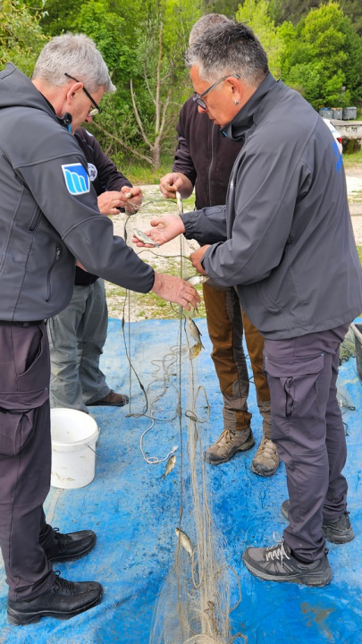 Provedena akcija izlova strane i invazivne ribe s područja Nacionalnog parka Krka