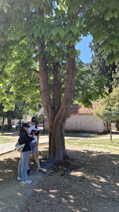 Međunarodni volonterski program 'Istraživač tržišta 2026.' održan u NP Krka