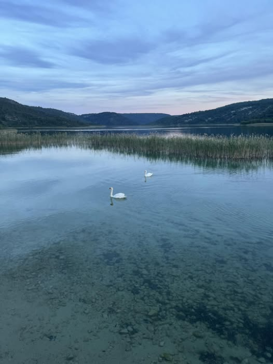 Predivni prizori s 'dragulja s Krke': Visovac je sklad života i mira