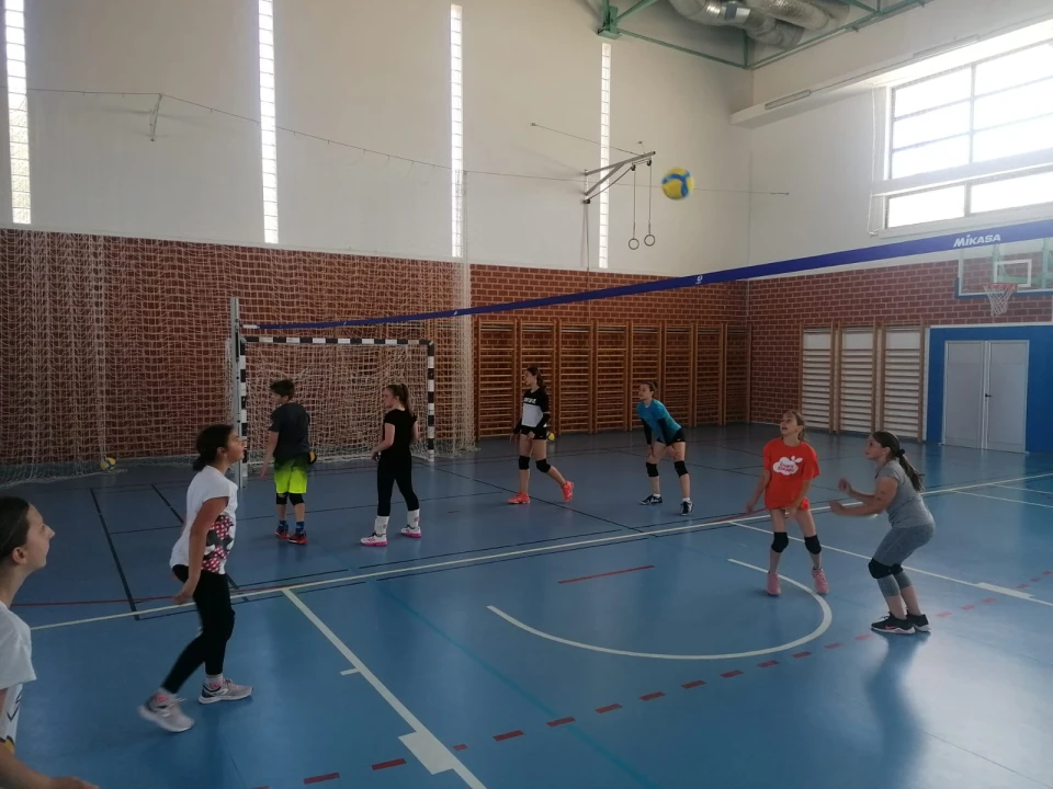 OŠ Meterize u projektu 'Odbojka u školama': Prva aktivnost pokazni trening i deset lopti za poklon