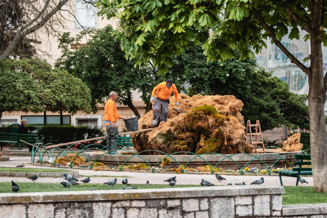 Uklonjen dio sedre kojemu je prijetilo urušavanje: Opet će zazeleniti, a kornjače dobivaju sunčalište
