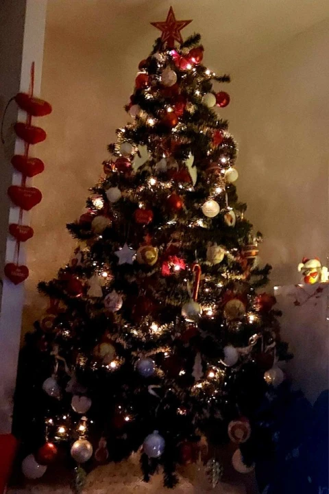 Provjerite tko su pobjednici izbora za naj jelku!