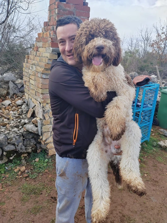 Marko Aleksić, interventni policajac i trener pasa: 'Odgoj psa treba shvatiti ozbiljno, a veću ljubav u životu nećete dobiti'