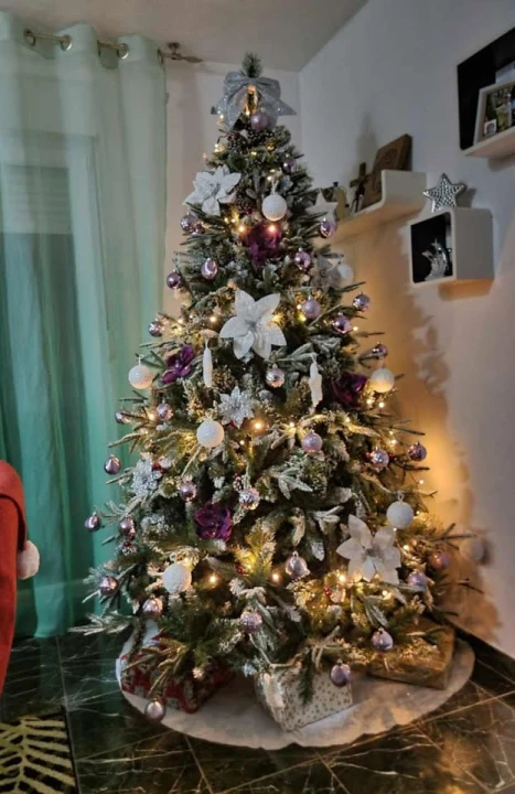 Provjerite tko su pobjednici izbora za naj jelku!