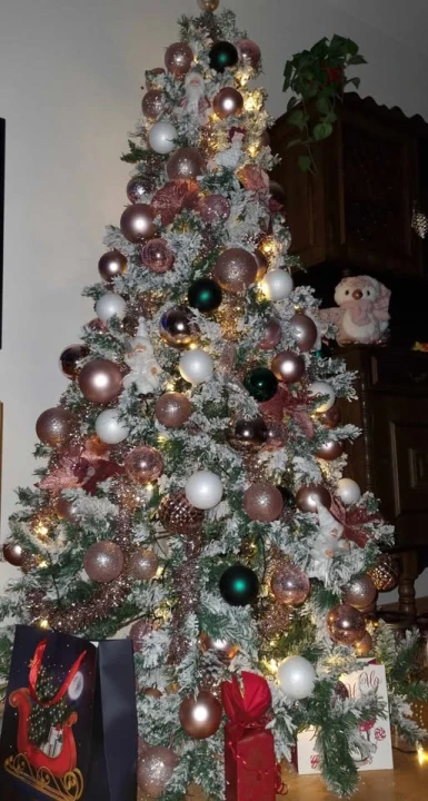 Provjerite tko su pobjednici izbora za naj jelku!