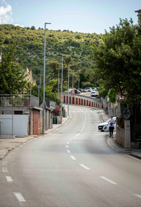 rokici
