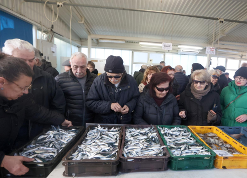 Gotov lovostaj, srdele napunile šibensku peškariju: Sve rasprodano u rekordnom roku