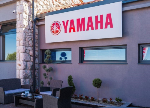 Fotografija 2 - Izaberite nešto baš za sebe iz šarenila cvatnica u Vrtnom centru Dubrava!