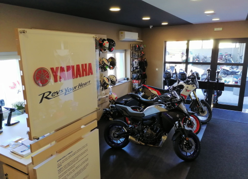 Fotografija 4 - Izaberite nešto baš za sebe iz šarenila cvatnica u Vrtnom centru Dubrava!