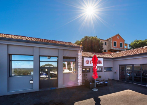 Fotografija 18 - Izaberite nešto baš za sebe iz šarenila cvatnica u Vrtnom centru Dubrava!