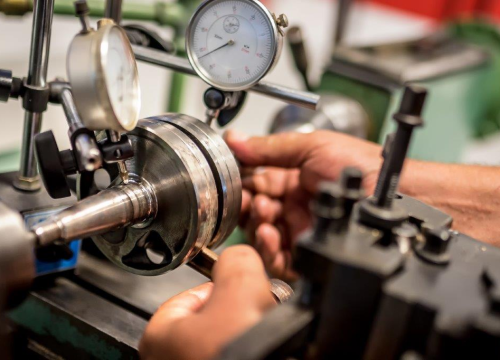 Fotografija 21 - Izaberite nešto baš za sebe iz šarenila cvatnica u Vrtnom centru Dubrava!