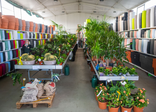 Fotografija 27 - Izaberite nešto baš za sebe iz šarenila cvatnica u Vrtnom centru Dubrava!