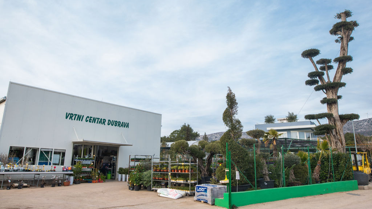 Izaberite nešto baš za sebe iz šarenila cvatnica u Vrtnom centru Dubrava!