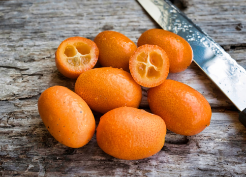 Kumkvat je u Europu iz Kine stigao u 19. stoljeću, evo zašto je sve dobar