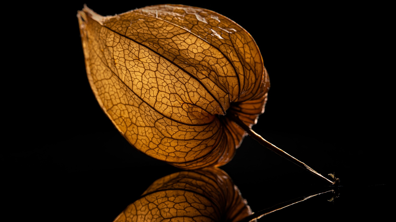 Peruanska jagoda: Egzotična namirnica i odličan dodatak slanim i slatkim jelima