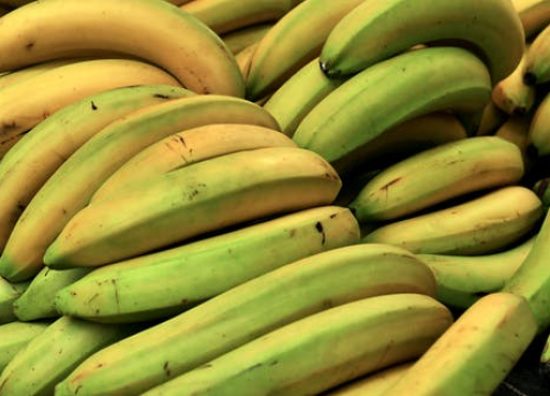 U Dubrovniku zaplijenili pola tone kokaina, nitko ga nije preuzeo iz kontejnera!