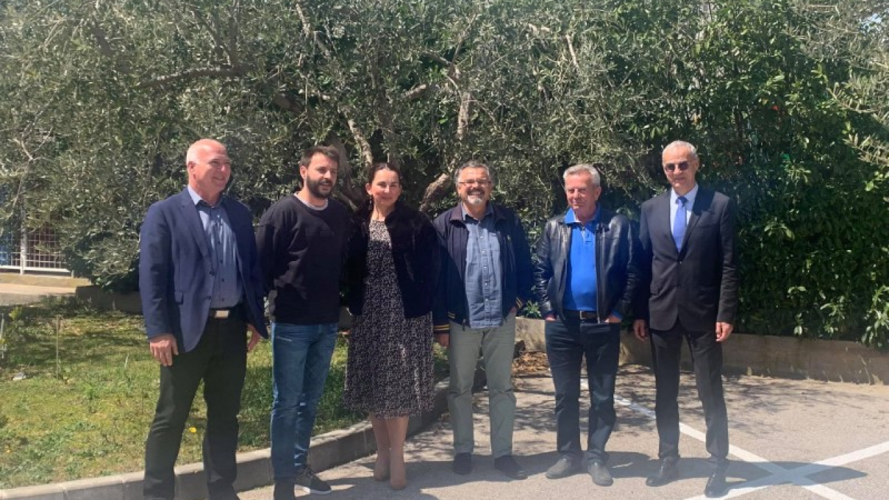 Na međunarodno natjecanje u New Yorku ide 21 uzorak maslinovog ulja iz šibenskog kraja