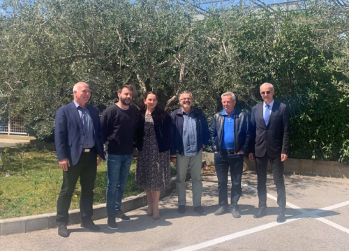 Na međunarodno natjecanje u New Yorku ide 21 uzorak maslinovog ulja iz šibenskog kraja