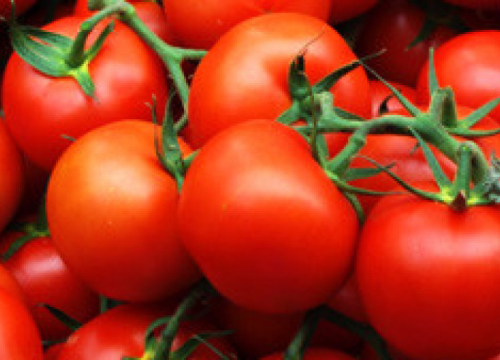 Plod koji ima posebno mjesto u talijanskoj kuhinji: Put od otrovnog voća do hrane koja je osvojila Italiju