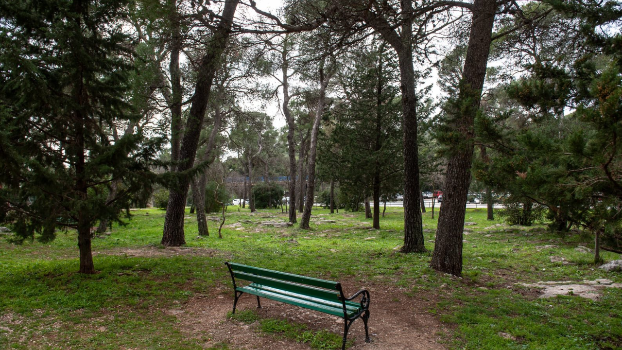 Alergija na pelud: Zašto se javlja i kako ublažiti simptome koji znaju biti nesnosni
