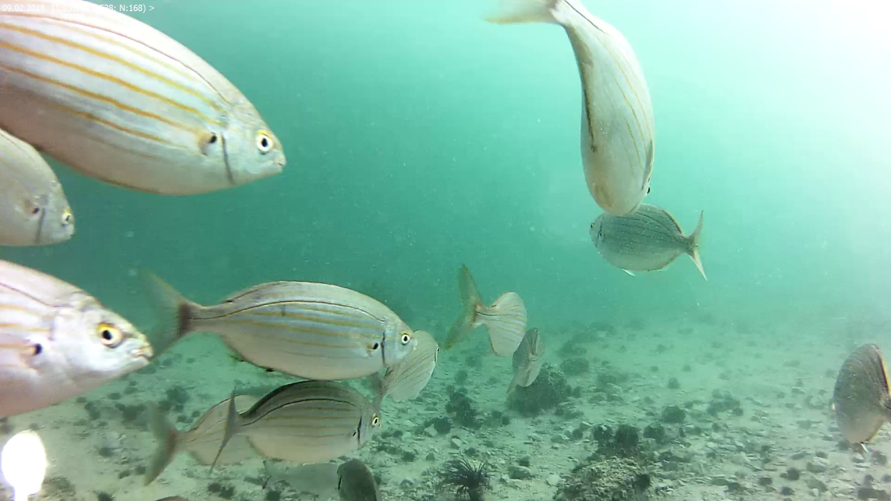 U more na Martinsku stiže instalacija Zorana Lučića Luce: Postavljanje možete pratiti uživo