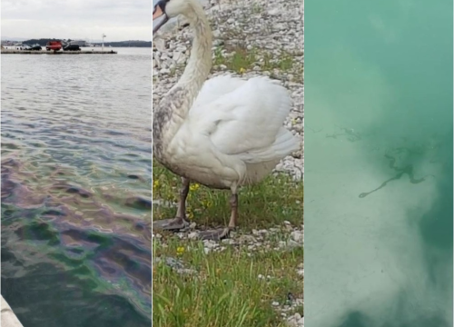 Mrlje u moru i miris nafte od jučer se šire šibenskom rivom i Mandalinom: 'Nema većih posljedica, problem je ako se ovo ponovi'