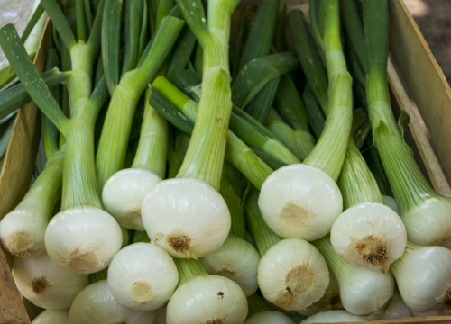 Za sve koji su izgubili osjet mirisa i okusa zbog koronavirusa, postoji jednostavna i vrlo učinkovita terapija