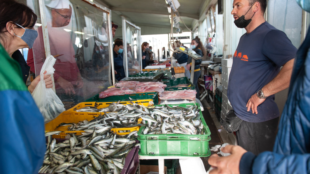 Obratite pažnju: U svibnju na peškariji ne smije biti niti jedna jedina friška srdela