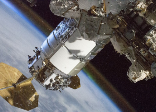 NASA na svemirsku postaju šalje mlade lignje i vodene medvjediće