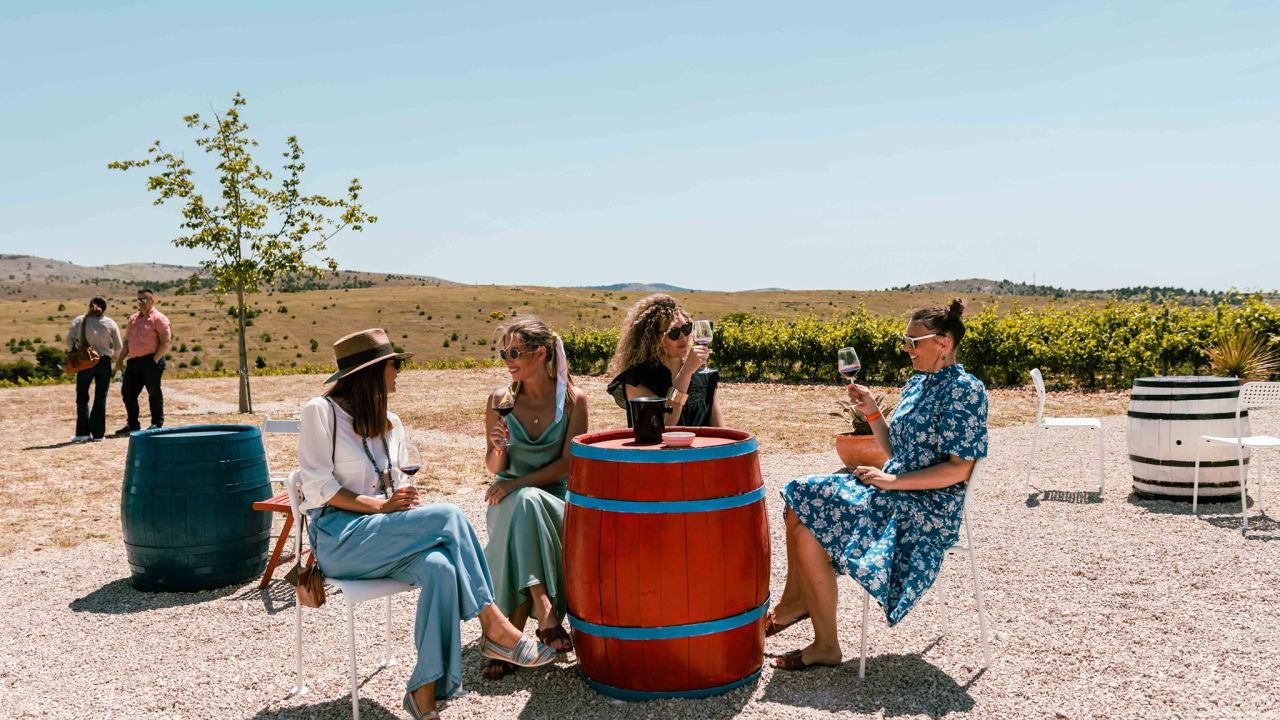 Taste Like Dalmatia: Još danas imate priliku kušati vrhunska vina, maslinova ulja i craft pive, a u subotu na šibenskoj rivi čekaju vas pidoče i debit!