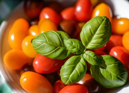 Moćni bosiljak! Osim odličnog okusa i mirisa, evo zašto biste ga trebali jesti svaki dan