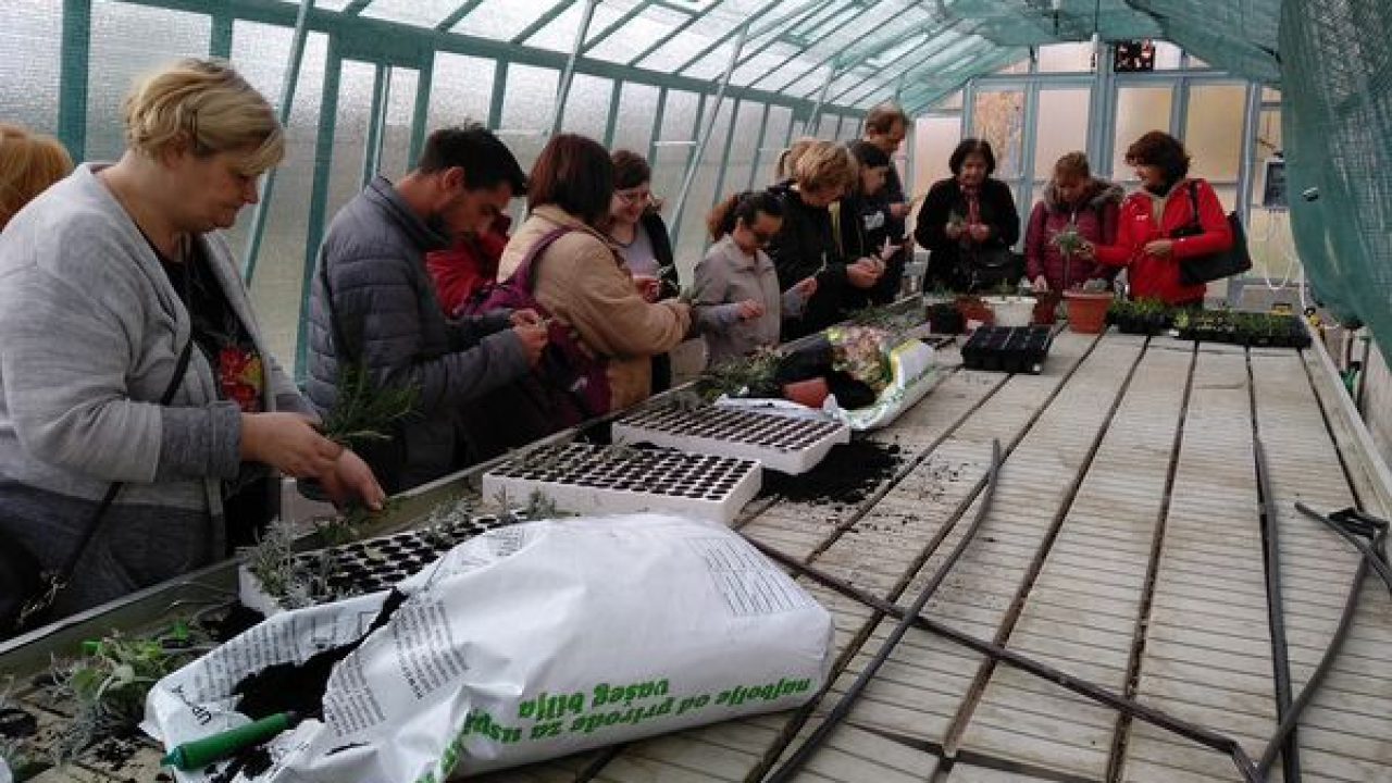 Iz udruge EMEDEA pozivaju nezaposlene da se prijave na besplatan program obrazovanja odraslih!