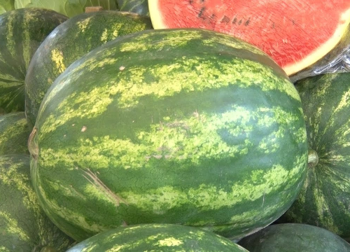 Lubenica pomaže u skidanju kilograma