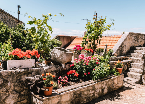 Fotografija 5 - Don Stipe Perkov objavio ‘Razgovore (ne)ugodne puka primoštenskoga’: Riječima su, kao s kamenom, gradili suhozid prošlosti!