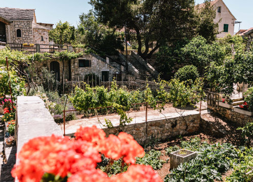 Fotografija 8 - Don Stipe Perkov objavio ‘Razgovore (ne)ugodne puka primoštenskoga’: Riječima su, kao s kamenom, gradili suhozid prošlosti!