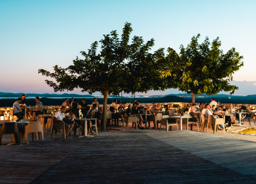 Na Baroneu Šibenčanima premijerno prikazan film ‘Slučajna raskoš prozirnog vodenog rebusa’