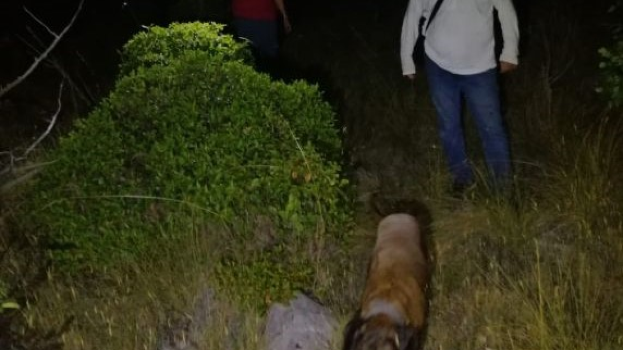 Žena oko ponoći uzbunila HGSS-ovce: Suprug i prijatelj nestali tražeći naslijeđenu parcelu iza Jadrije