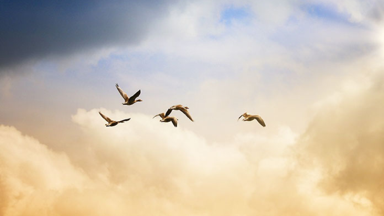 Tjedni horoskop od 19.07. do 25.07: Najsretniji znakovi će biti Blizanac, Lav i Strijelac