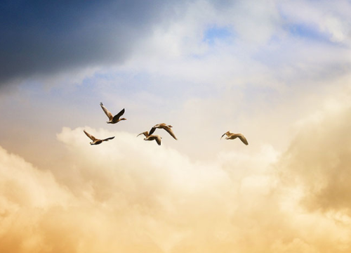 Tjedni horoskop od 19.07. do 25.07: Najsretniji znakovi će biti Blizanac, Lav i Strijelac