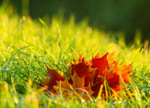 Horoskop za jesen 2021.: Blizanci doživljavaju sudbonosni susret, Djevica uživa kao u čaroliji