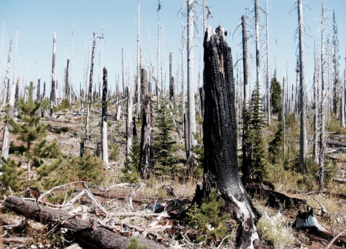 Italija se bori s požarima u zaštićenim područjima